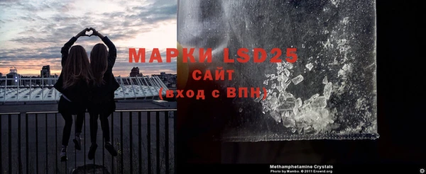прущие грибы Алзамай