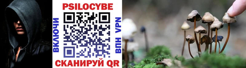 гидра вход  Катайск  Галлюциногенные грибы ЛСД 
