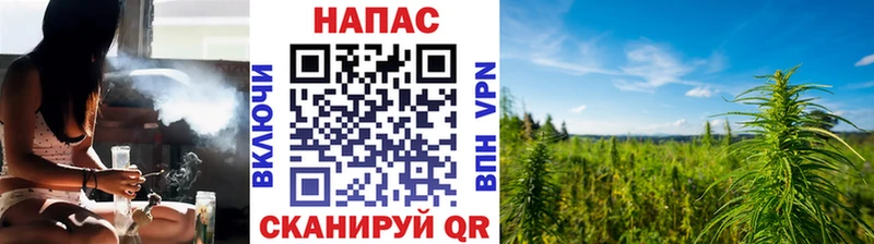 Бошки марихуана план продажа наркотиков гидра ссылка Катайск